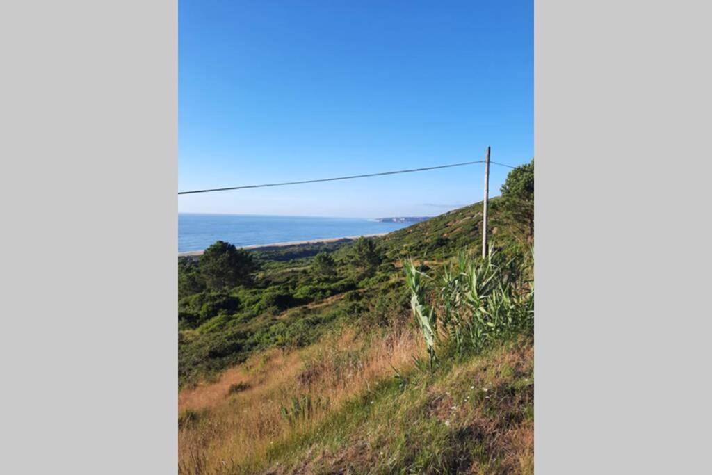 Sunflower Sea View With Magnificent Terrace In Serra Da Pescaria, Nazare - Portugal エクステリア 写真