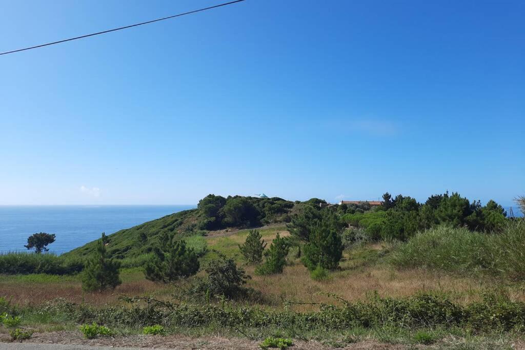 Sunflower Sea View With Magnificent Terrace In Serra Da Pescaria, Nazare - Portugal エクステリア 写真