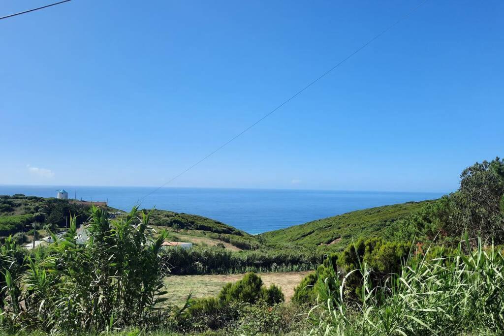Sunflower Sea View With Magnificent Terrace In Serra Da Pescaria, Nazare - Portugal エクステリア 写真
