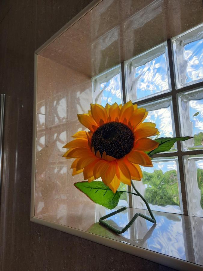 Sunflower Sea View With Magnificent Terrace In Serra Da Pescaria, Nazare - Portugal エクステリア 写真