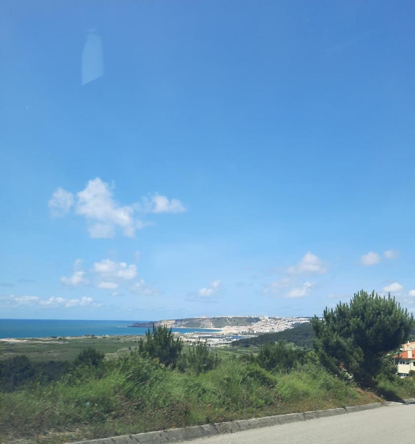Sunflower Sea View With Magnificent Terrace In Serra Da Pescaria, Nazare - Portugal エクステリア 写真