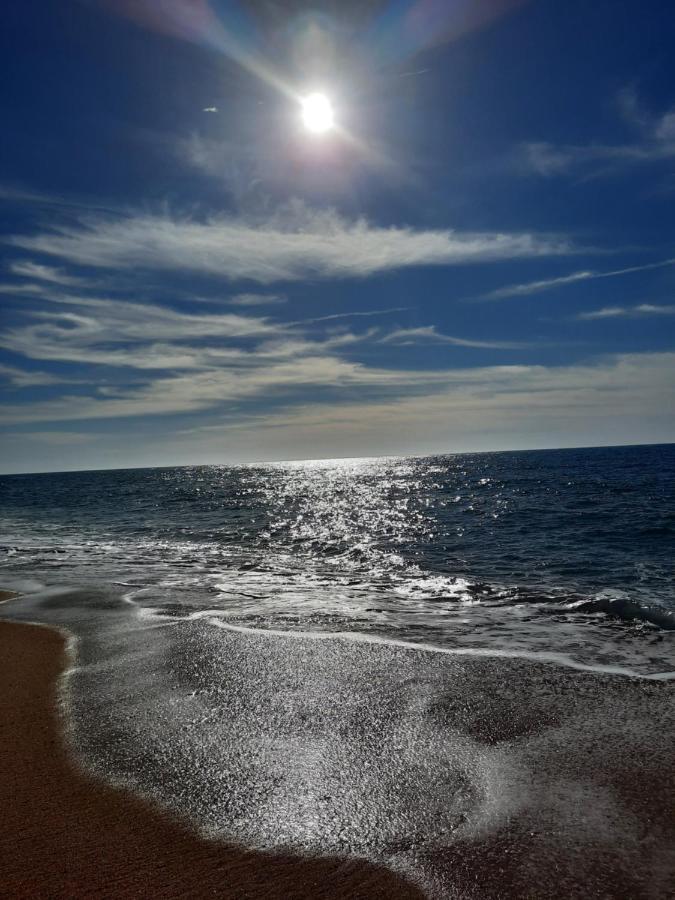 Sunflower Sea View With Magnificent Terrace In Serra Da Pescaria, Nazare - Portugal エクステリア 写真